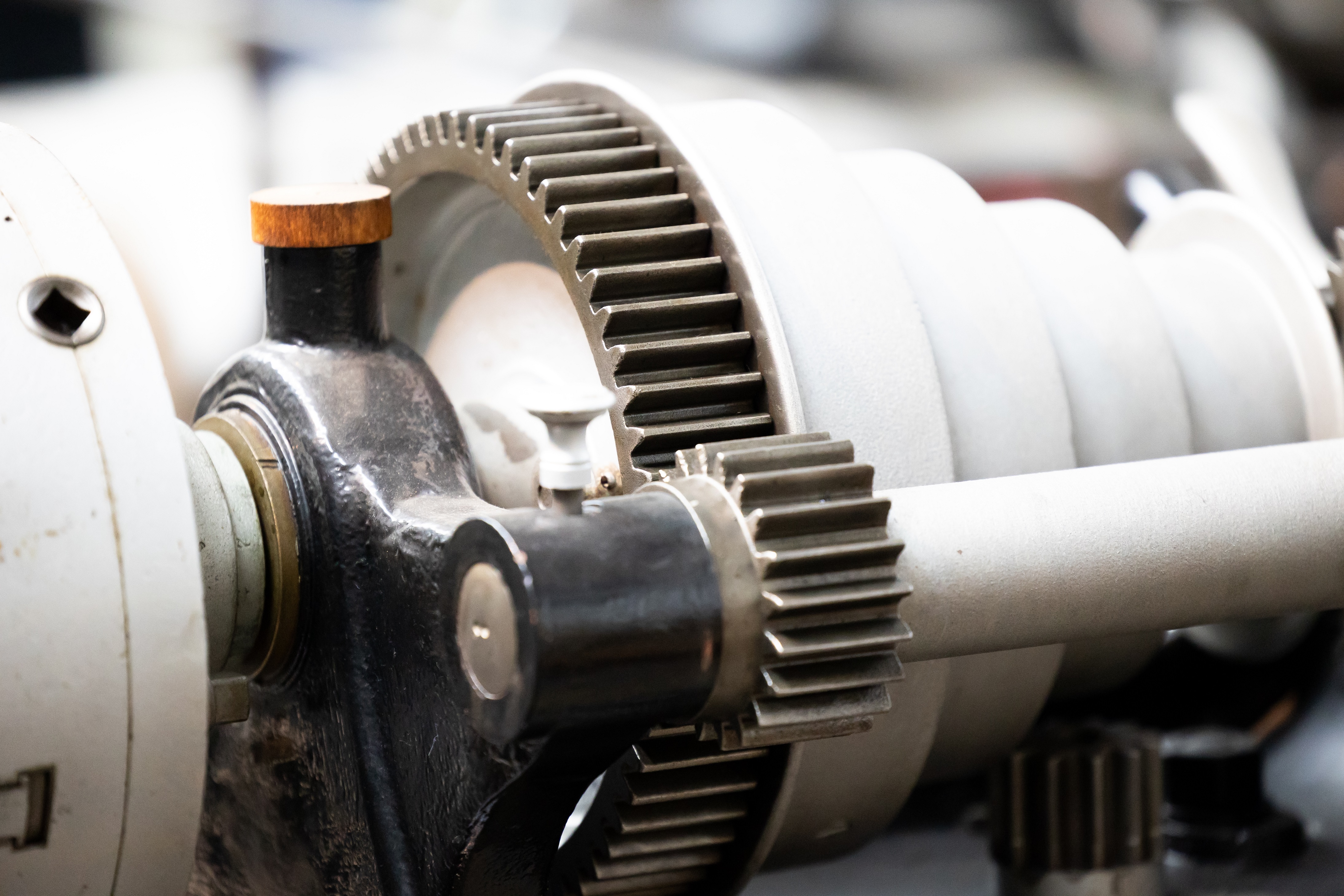 Sandra Schumann Fotografie