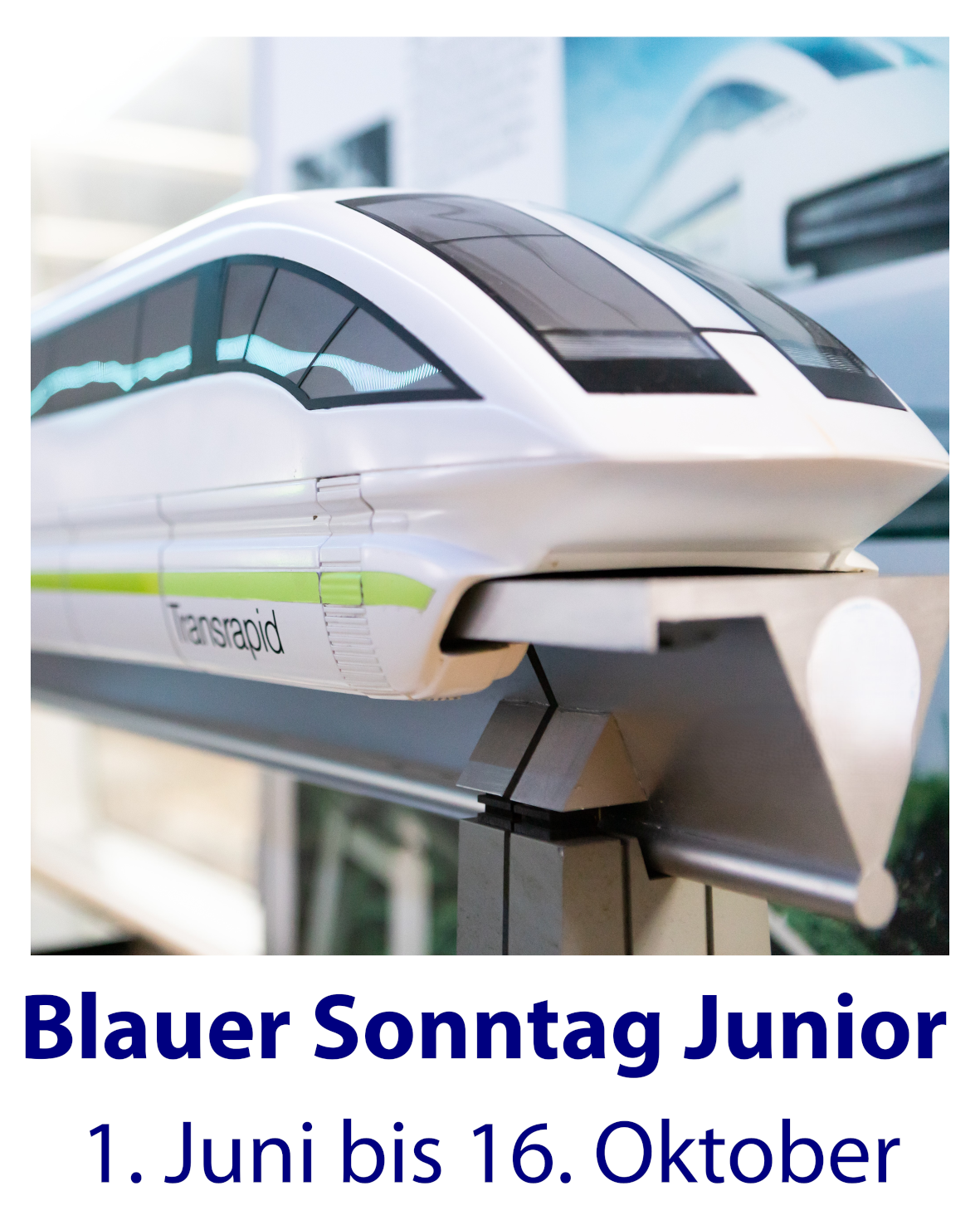 Blauer Sonntag Junior